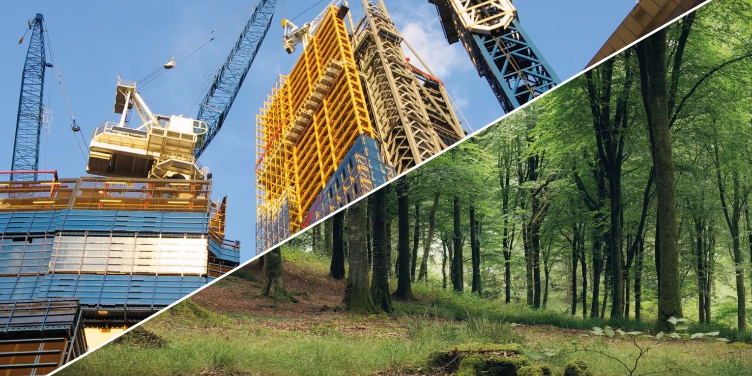Understanding the New Biodiversity Law for Construction Projects