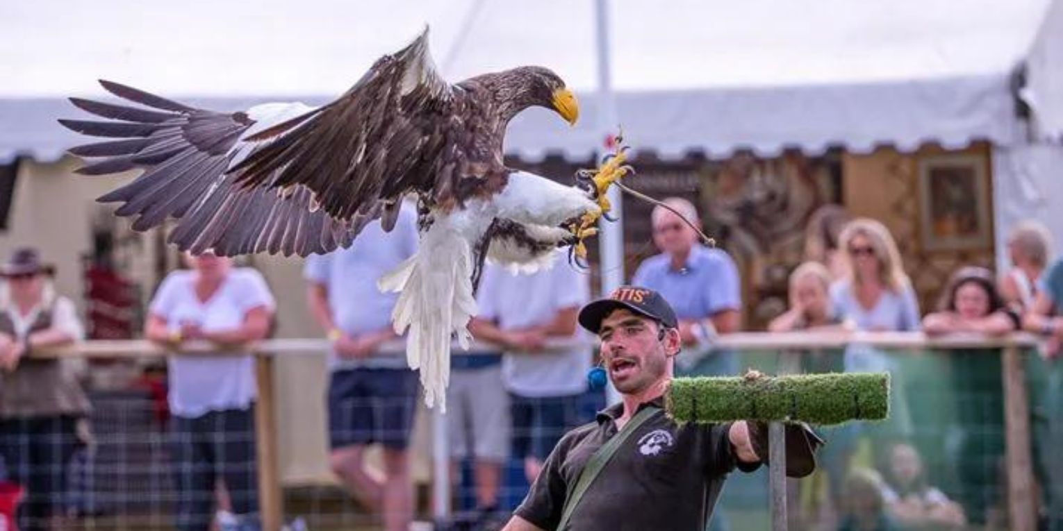 Carter Jonas Sponsors The Game Fair 2023