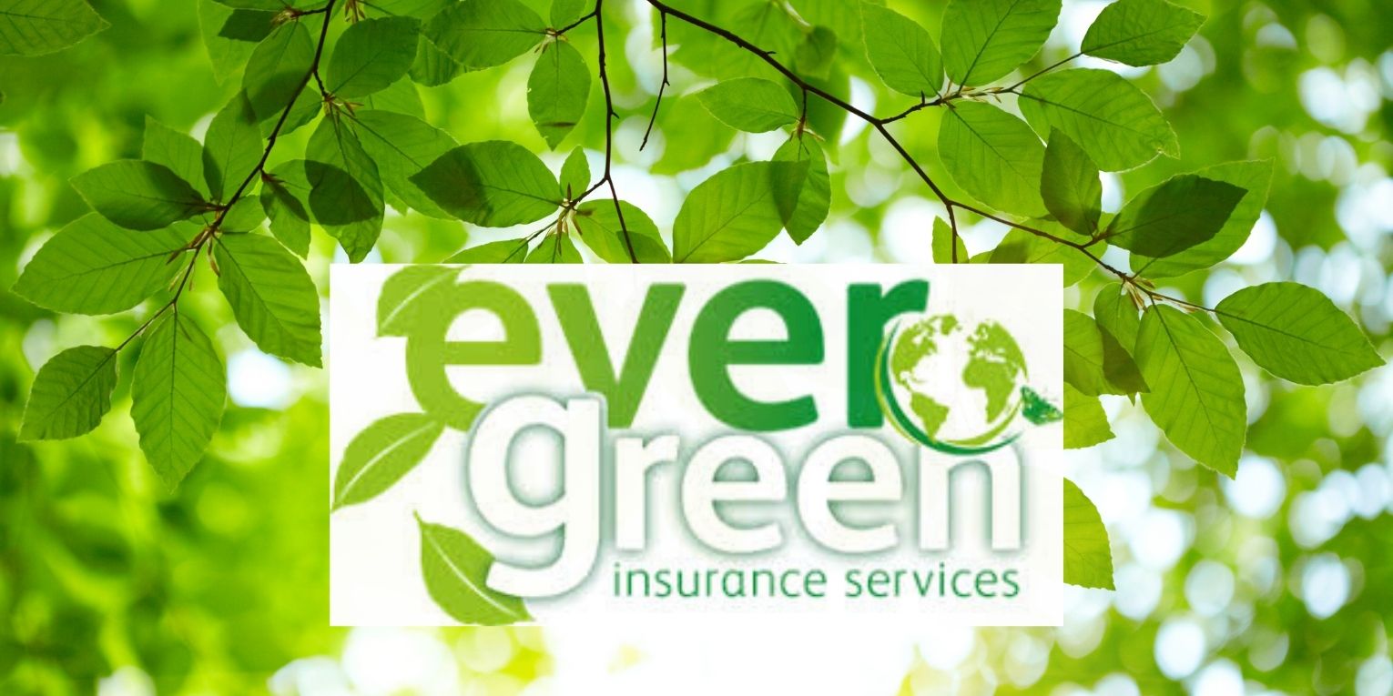 Why Not Check Out Our Brochure Today