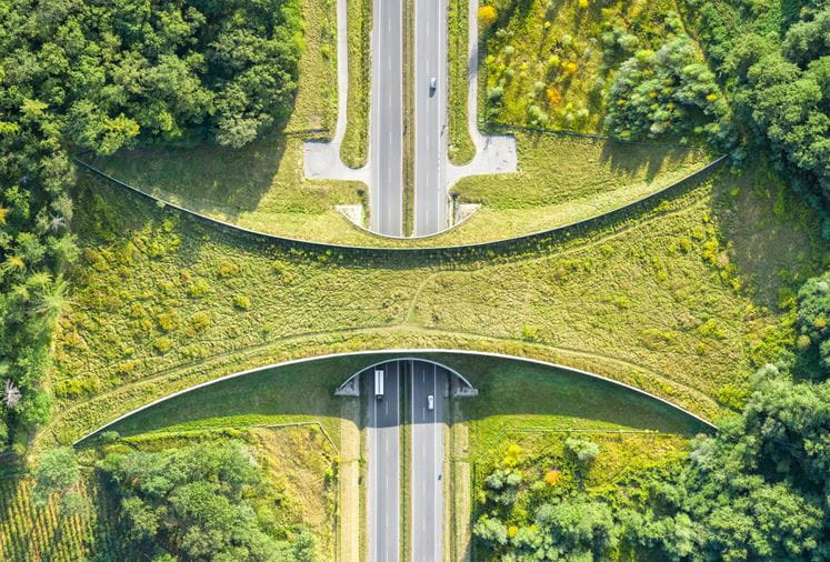 Bridging the ESG Will Gap and Skills Gap