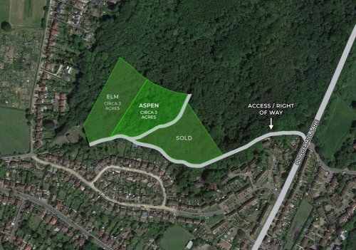 Freehold woodland for sale in Tunbridge Wells