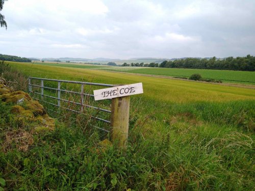 Arable land for sale in Angus