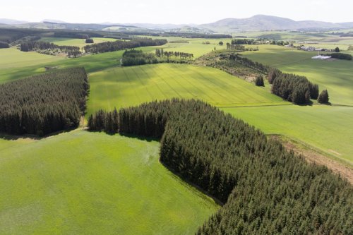 Woodland for sale in Libberton