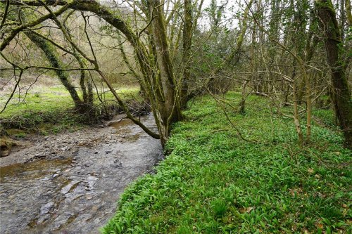 Woodland for sale at auction in Cornwall