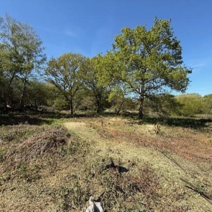 Private Freehold Plot For Sale in Blackwater, Hampshire