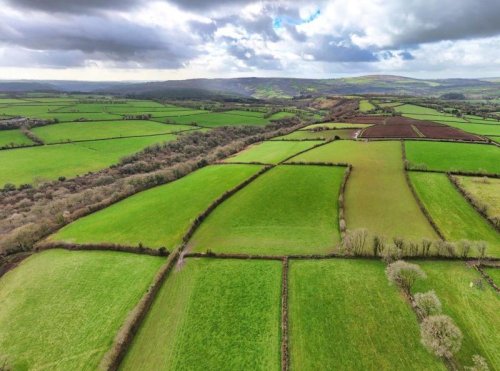 Land for sale in Tavistock