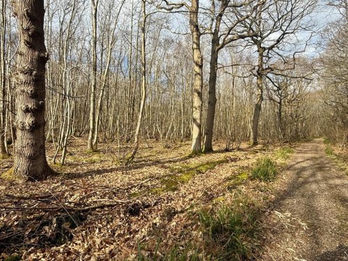 Land  for sale in Faversham