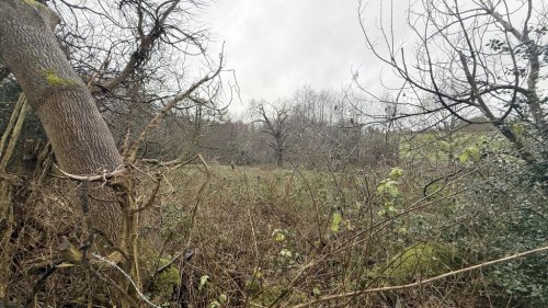 Land  for sale in Chislehurst
