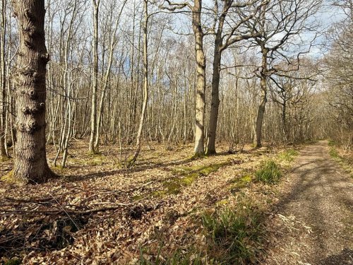 Land  for sale in Faversham