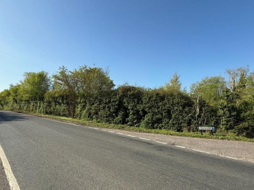 Land  for sale in Chelmsford