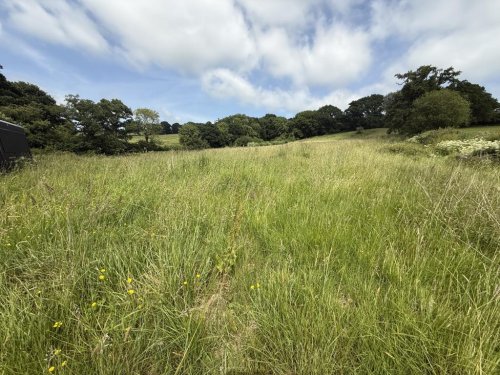 Land  for sale in Honiton