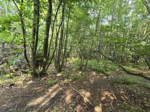 Land  for sale in Wadhurst