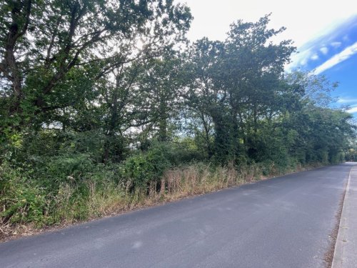 Land  for sale in Chelmsford