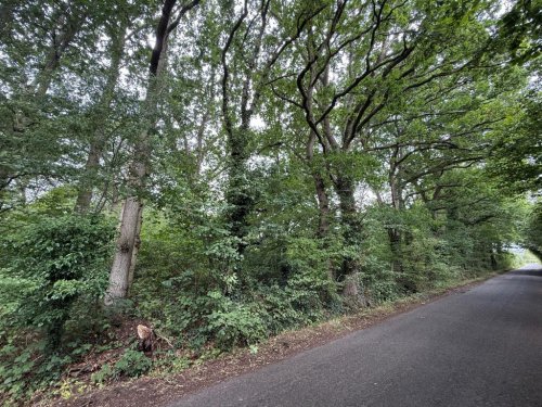 Land  for sale in Maidstone