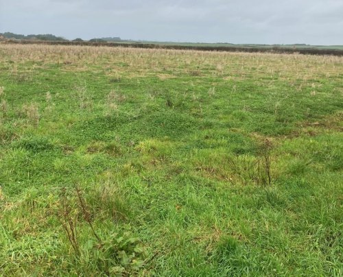 Land  for sale in Penzance