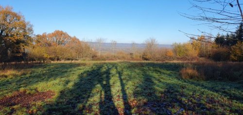 Land  for sale in Tonbridge