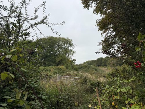 Land  for sale in Bexhill-on-Sea