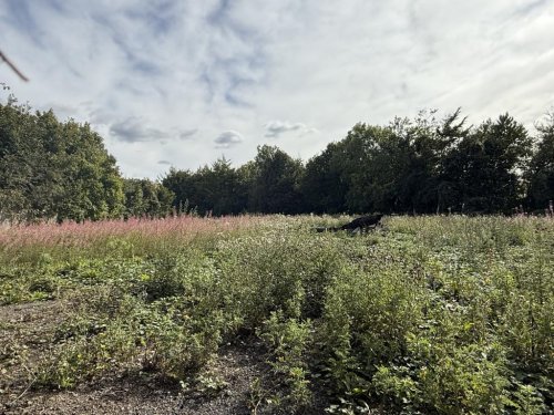 Land  for sale in Kent