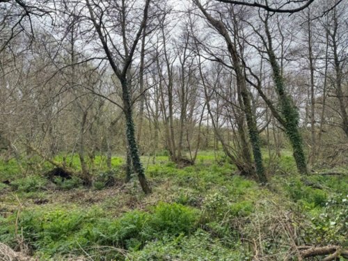 Land  for sale in Ventnor