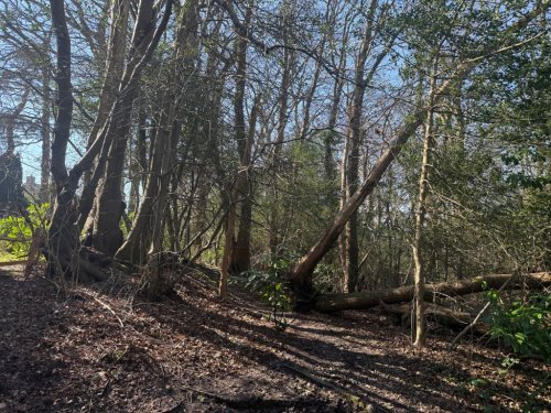 Land  for sale in Heathfield