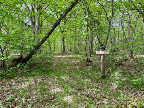 Land  for sale in Faversham
