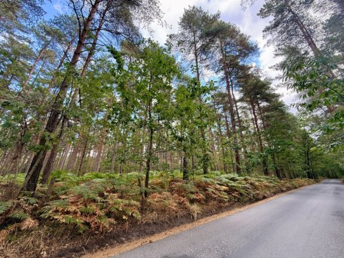 Land  for sale in Tunbridge Wells
