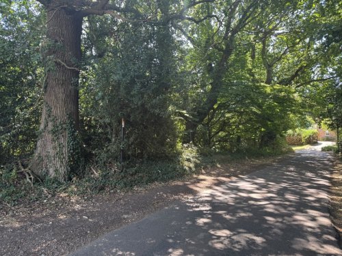 Land  for sale in Ashford