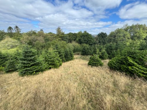 Investment  for sale in Dulverton