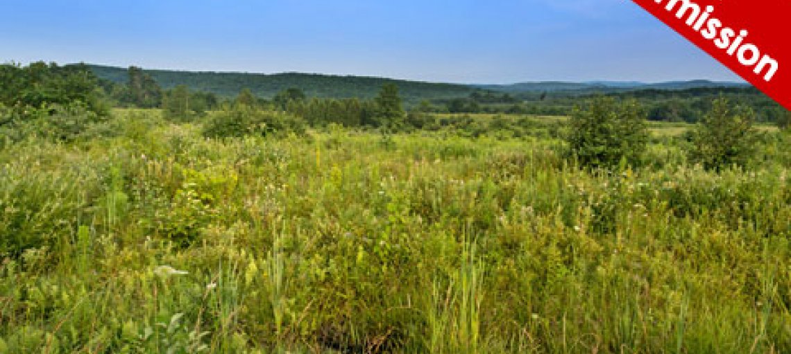 Commercial and Land Opportunities